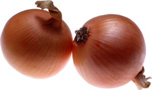 Onion PNG image-3823